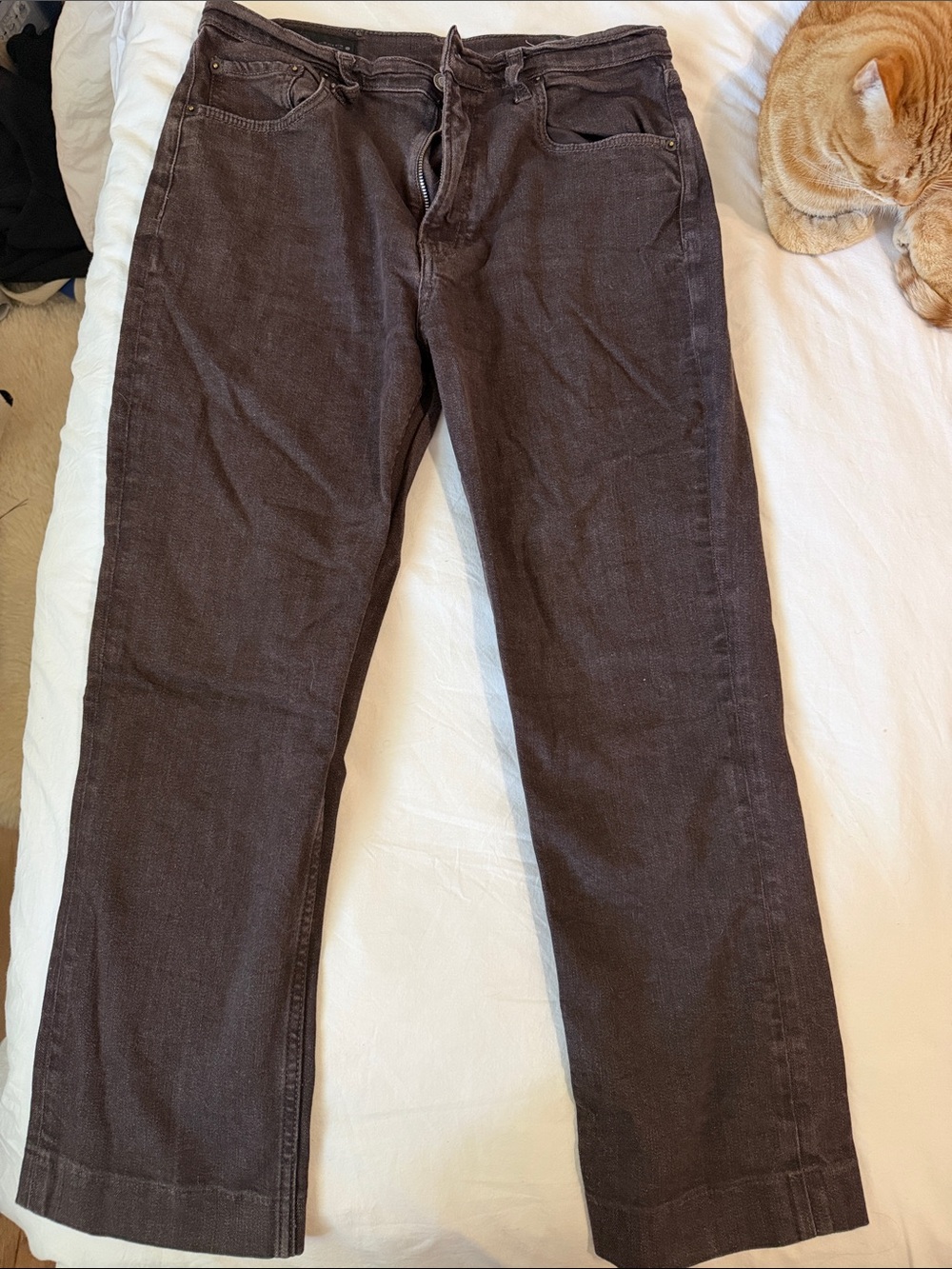 Zara Straight Leg Brown Pants